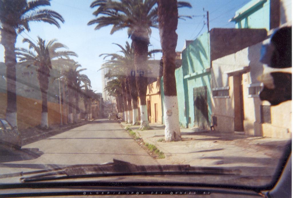 ORAN 2003 09 AVENUE DES PALMIERS ET ANNEXE ENCORE.JPG